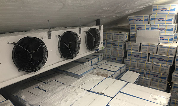 Cold Room Repair
