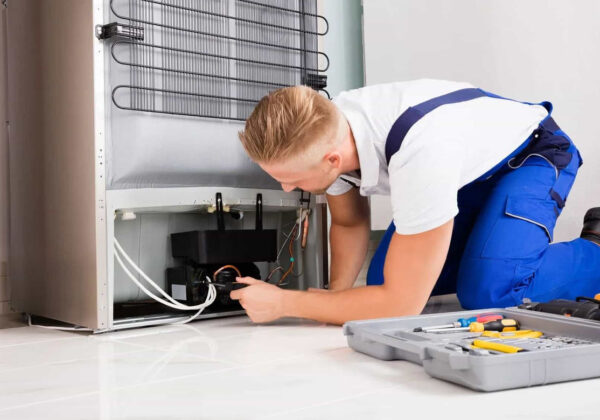 Repair vs Replacement Decisions After a Freezer Failure