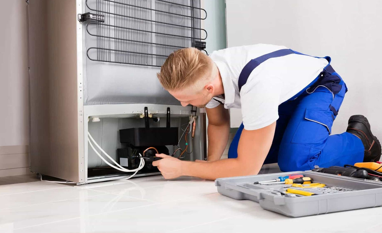 Repair vs Replacement Decisions After a Freezer Failure